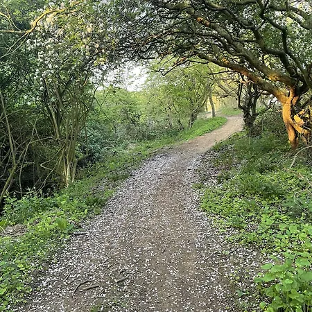 The Puffin Pad 펜션 *