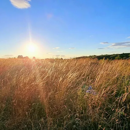 The Puffin Pad - Part Of The The Bay Village With Pool, Gym And Direct Access, Pub, Restaurant, Tennis And Meadows Walks *